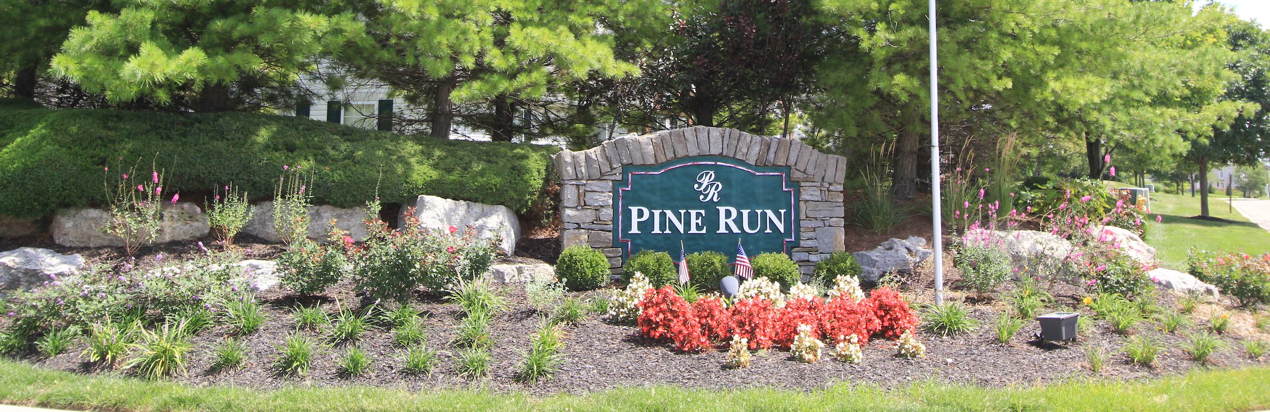 Pine Run 01